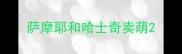 萨摩耶和哈士奇卖萌
