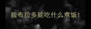 拉布拉多能吃什么煮饭