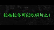 拉布拉多可以吃钙片么