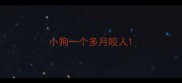 小狗一个多月咬人