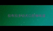 拉布拉多幼犬口腔做味道