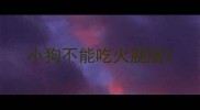 小狗不能吃火腿肠