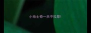 小哈士奇一天不拉屎