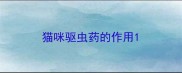 猫咪驱虫药的作用