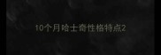 10个月哈士奇性格特点