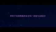 养豹子当宠物真的安全吗危险与法规全