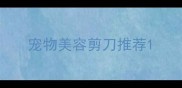 宠物美容剪刀推荐