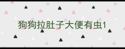 狗狗拉肚子大便有虫