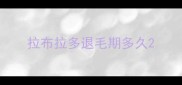 拉布拉多退毛期多久