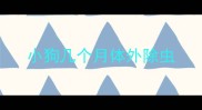 小狗几个月体外除虫