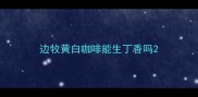 边牧黄白咖啡能生丁香吗