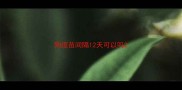 狗疫苗间隔12天可以吗
