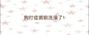 狗打疫苗前洗澡了