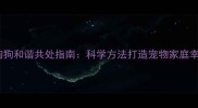 猫咪和狗狗和谐共处指南科学方法打造宠物家庭幸福生活