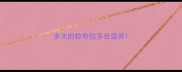 多大的拉布拉多合适养