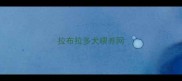 拉布拉多犬喂养网
