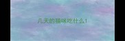 几天的猫咪吃什么