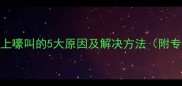 拉布拉多犬早上嚎叫的5大原因及解决方法附专业训练指南