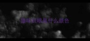 猫咪屁眼是什么颜色