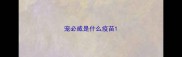 宠必威是什么疫苗