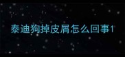 泰迪狗掉皮屑怎么回事