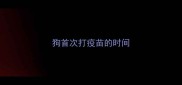 狗首次打疫苗的时间