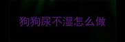 狗狗尿不湿怎么做