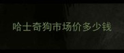 哈士奇狗市场价多少钱