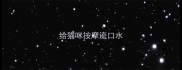 给猫咪按摩流口水