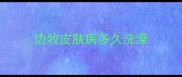 边牧皮肤病多久洗澡