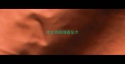 哈士奇跳墙看柴犬