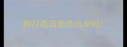 狗打疫苗能验出来吗