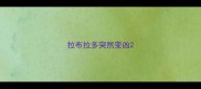 拉布拉多突然变凶