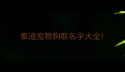 泰迪宠物狗取名字大全