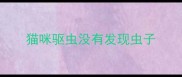 猫咪驱虫没有发现虫子