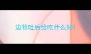 边牧吐后给吃什么好