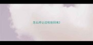 怎么样让边牧捡回来