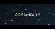 边牧睡在外面会冷吗