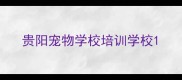 贵阳宠物学校培训学校