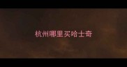 杭州哪里买哈士奇