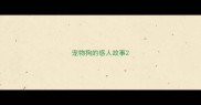 宠物狗的感人故事