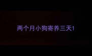两个月小狗寄养三天