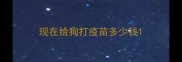 现在给狗打疫苗多少钱