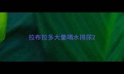 拉布拉多大量喝水排尿