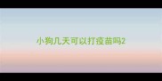 小狗几天可以打疫苗吗