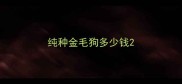 纯种金毛狗多少钱