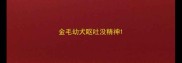金毛幼犬呕吐没精神