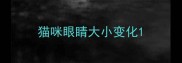 猫咪眼睛大小变化