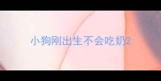 小狗刚出生不会吃奶