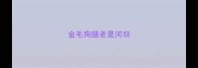 金毛狗腿老是河坝